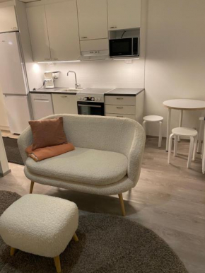 Moderni yksiö, omalla autopaikalla Joensuu